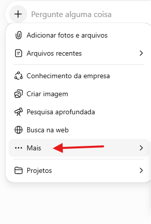 Abra o menu Mais na conversa